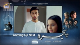 Pinjra - Episode 07 - 10th Nov 2022